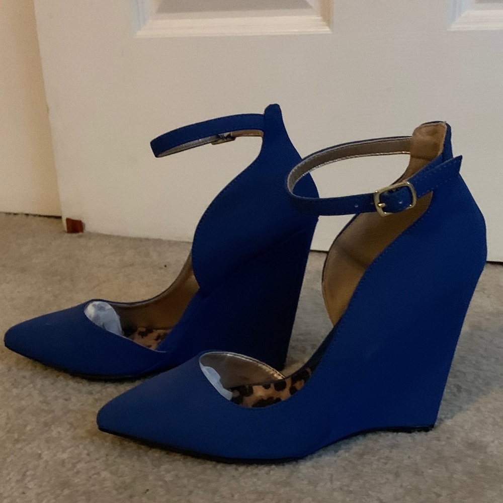 Blue Wedges